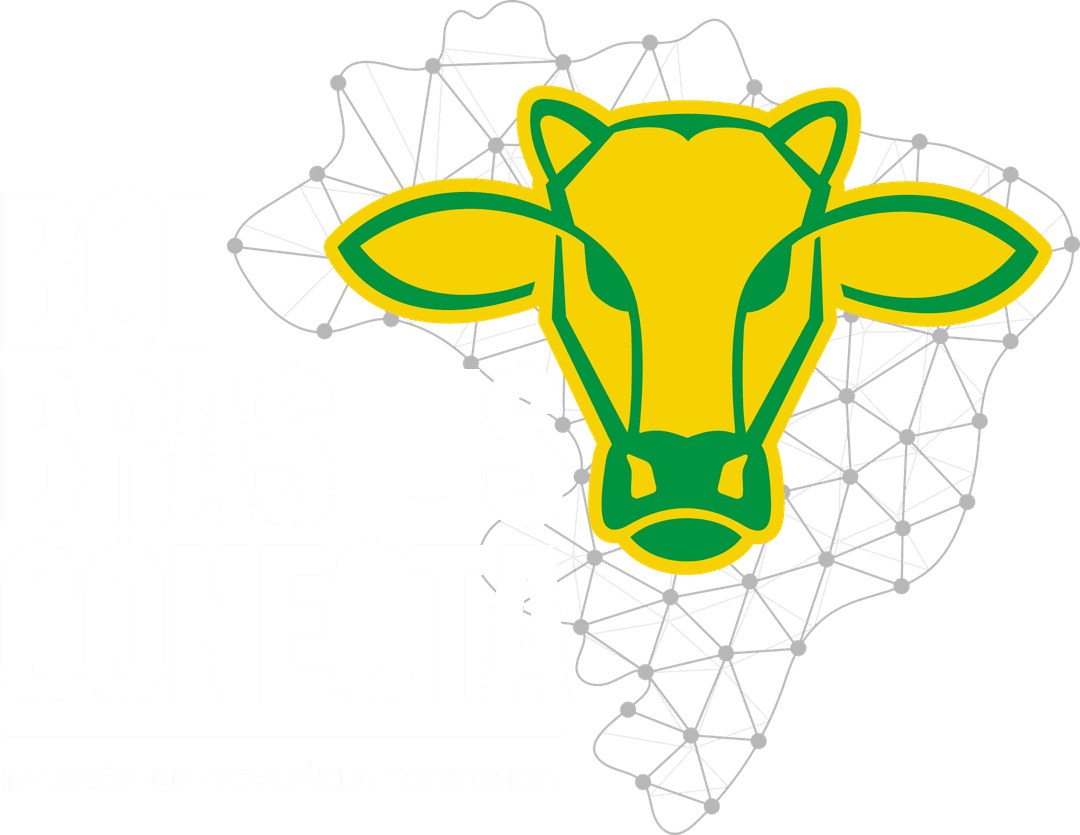 Boi Brasilis