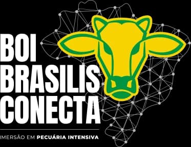 Boi Brasilis